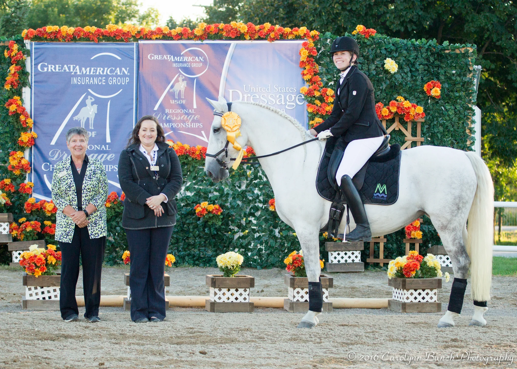 MVF Lipizzans — Mississippi View Farm